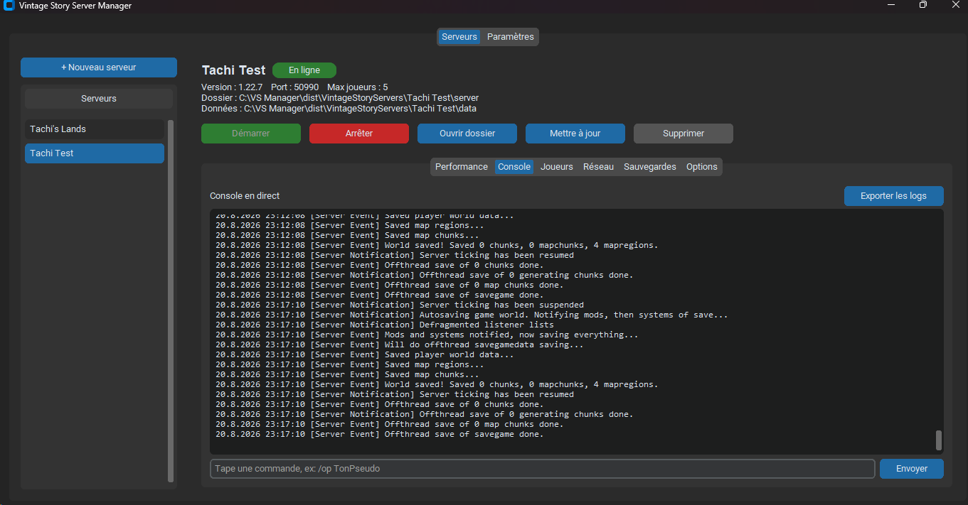 VS Server Manager : console d'un serveur Vintage Story en ligne, avec performance et sauvegardes